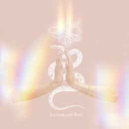 Die Geburt der neuen Welt